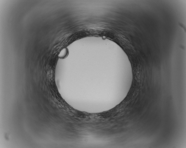 X0000100421061200806271502