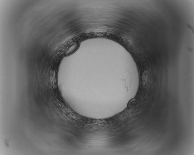 X0000100421062200806271502