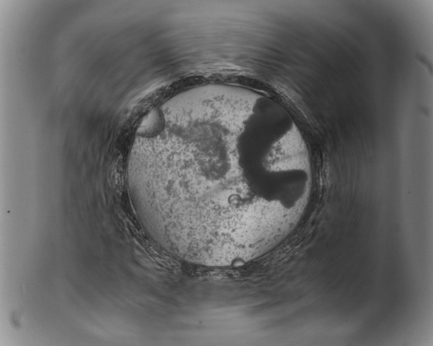 X0000100421063200806271502