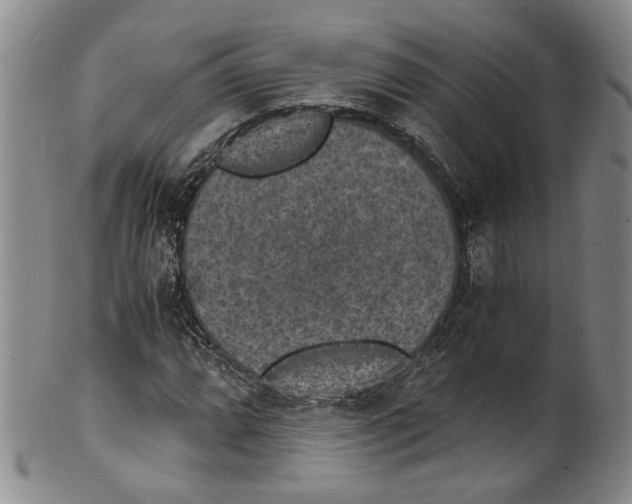 X0000100421064200806271501
