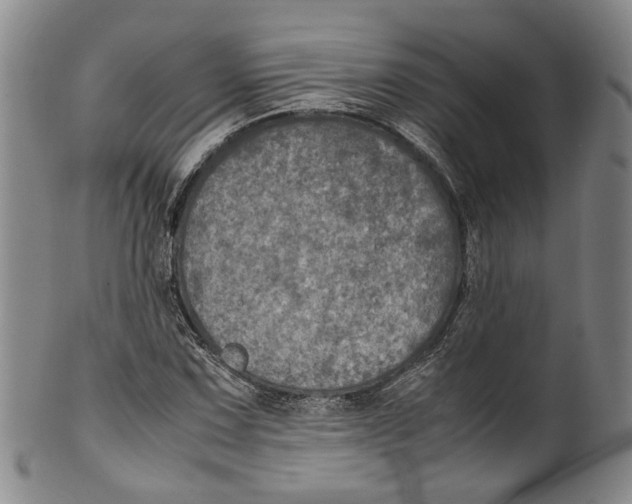 X0000100421067200806271501