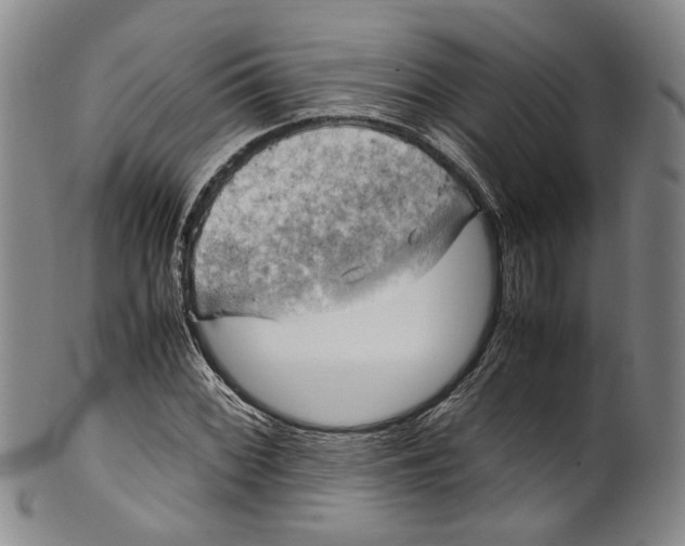 X0000100421068200806271501