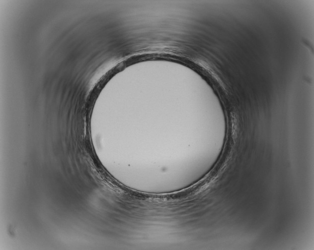 X0000100421069200806271501