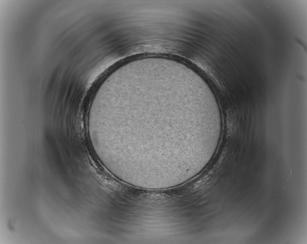 X0000100421070200806271501