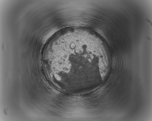 X0000100421071200806271501