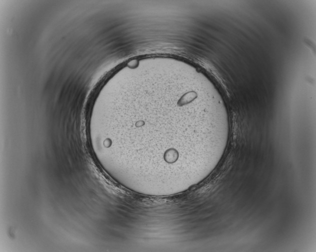 X0000100421072200806271501