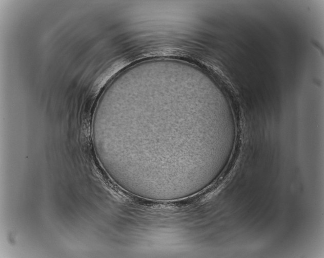 X0000100421073200806271501