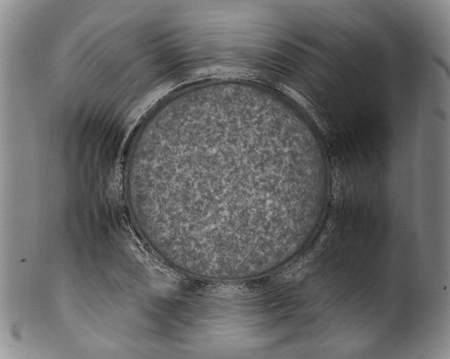 X0000100421074200806271501