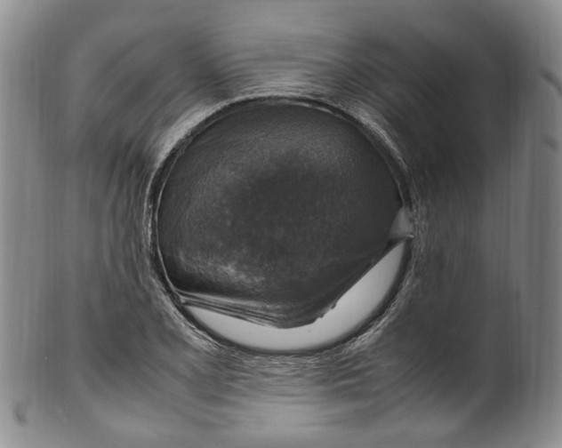 X0000100421077200806271501