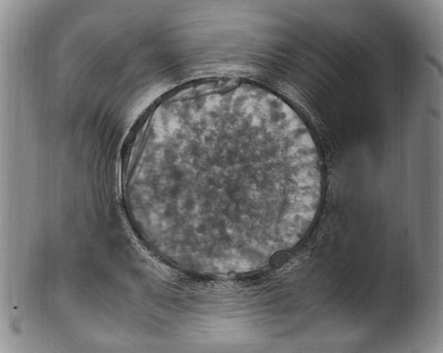 X0000100421079200806271501