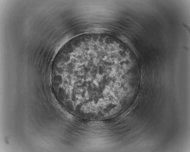 X0000100421083200806271501