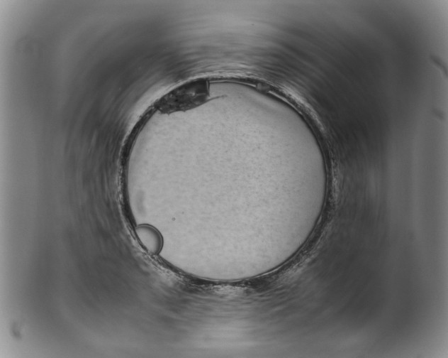 X0000100421085200806271501