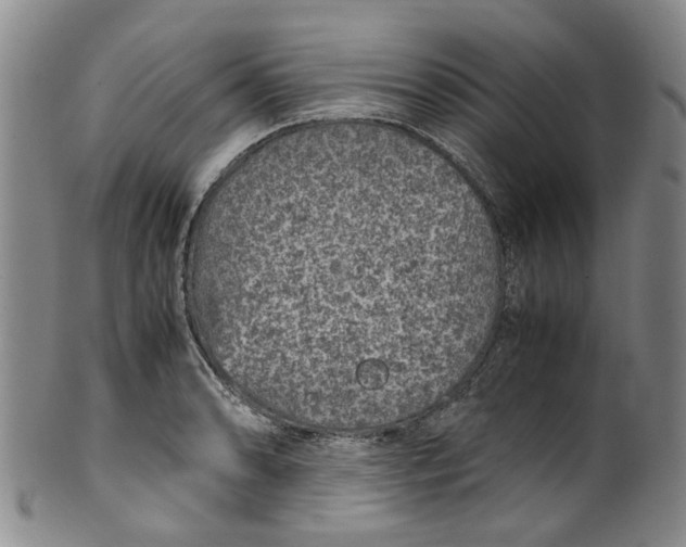 X0000100421086200806271501
