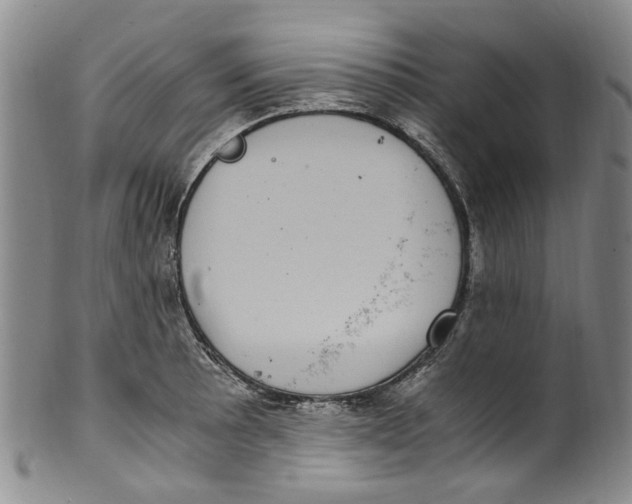 X0000100421089200806271501