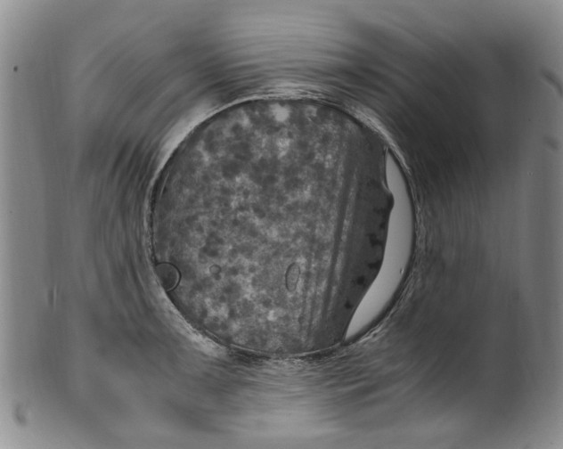 X0000100421091200806271501