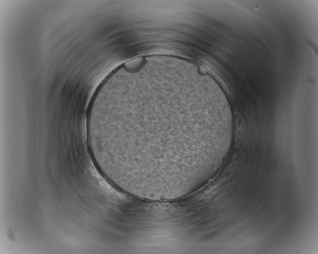 X0000100421092200806271501