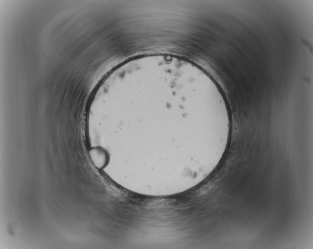 X0000100421093200806271501