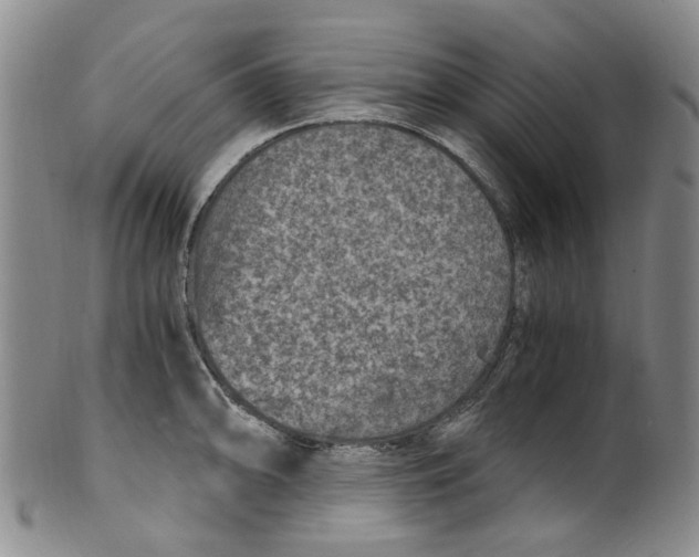 X0000100421094200806271501