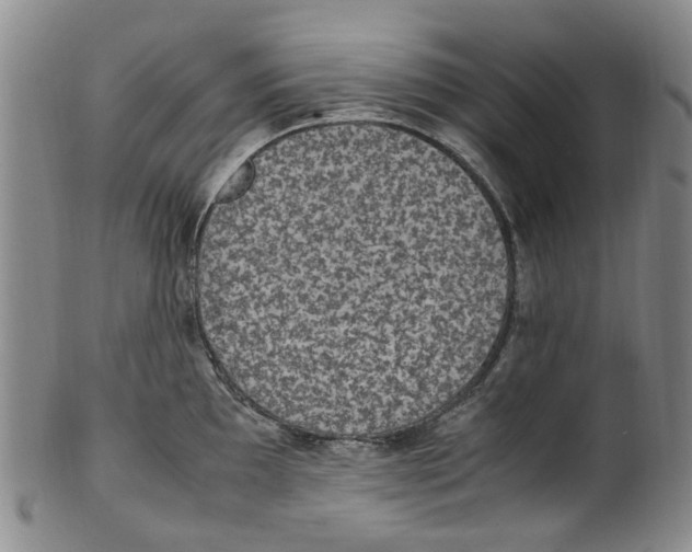 X0000100421097200806271501