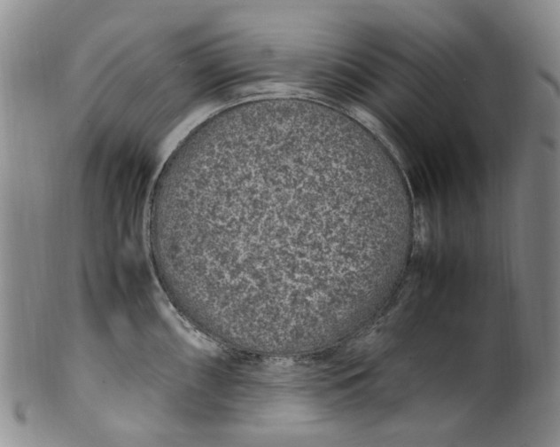 X0000100421098200806271501
