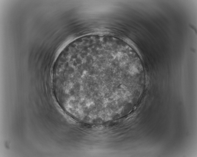 X0000100421099200806271501