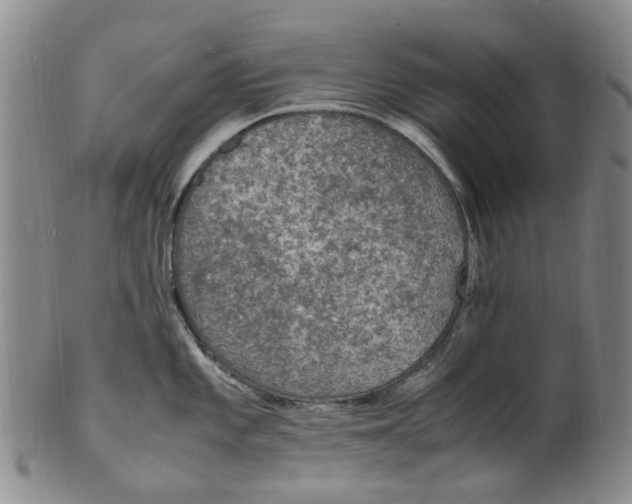 X0000100421101200806271501