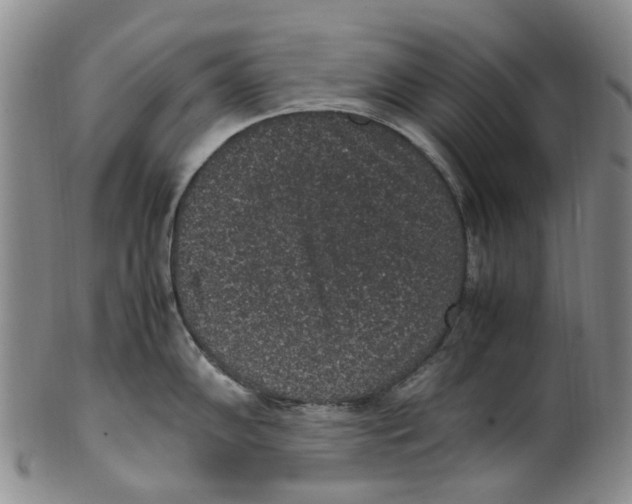X0000100421102200806271501