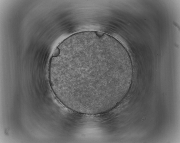 X0000100421104200806271501