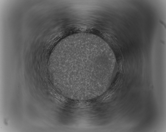 X0000100421105200806271500