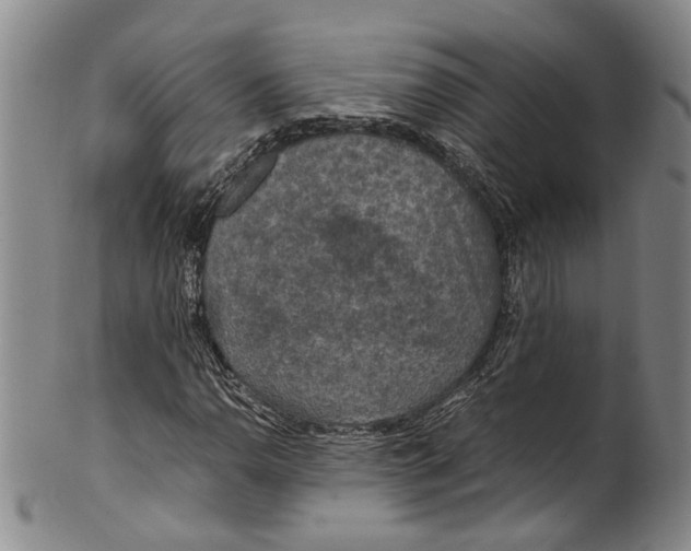 X0000100421110200806271500