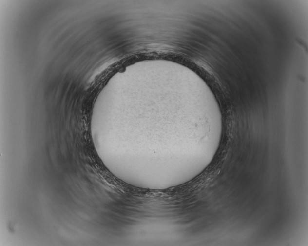X0000100421112200806271500