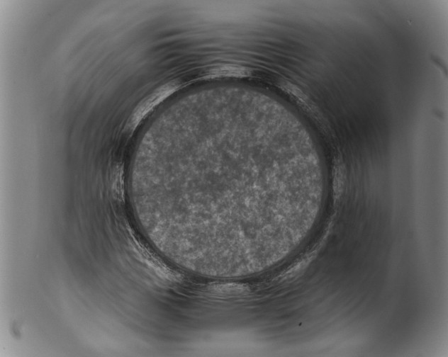 X0000100421113200806271500