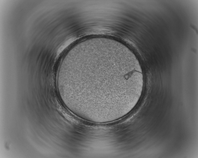 X0000100421114200806271500