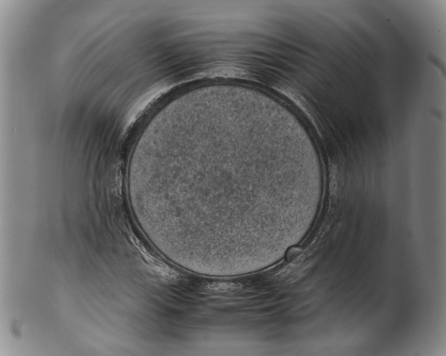 X0000100421115200806271500