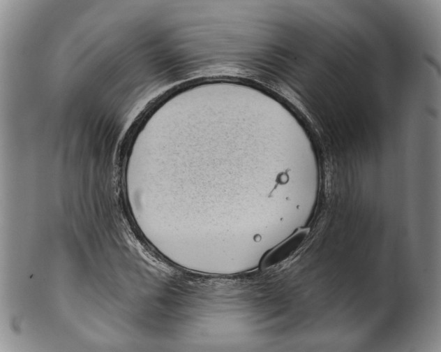 X0000100421116200806271500