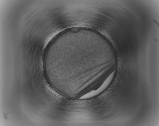 X0000100421120200806271500