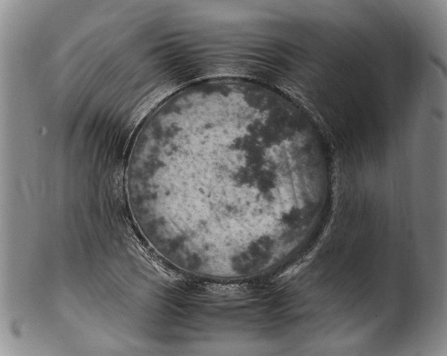 X0000100421121200806271500