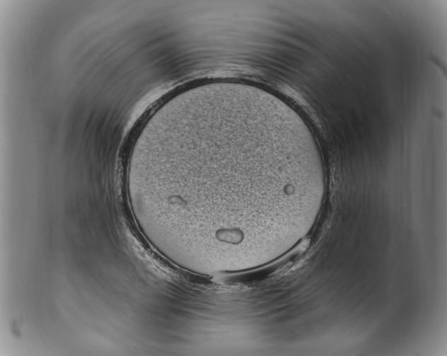 X0000100421122200806271501
