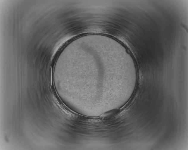 X0000100421123200806271501