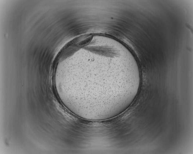 X0000100421124200806271501