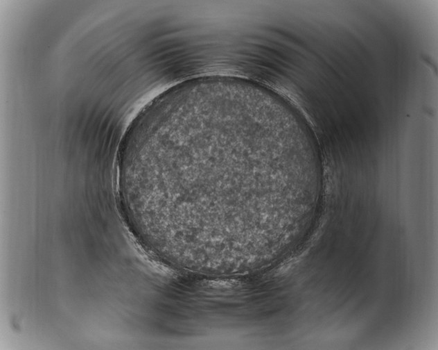 X0000100421125200806271501