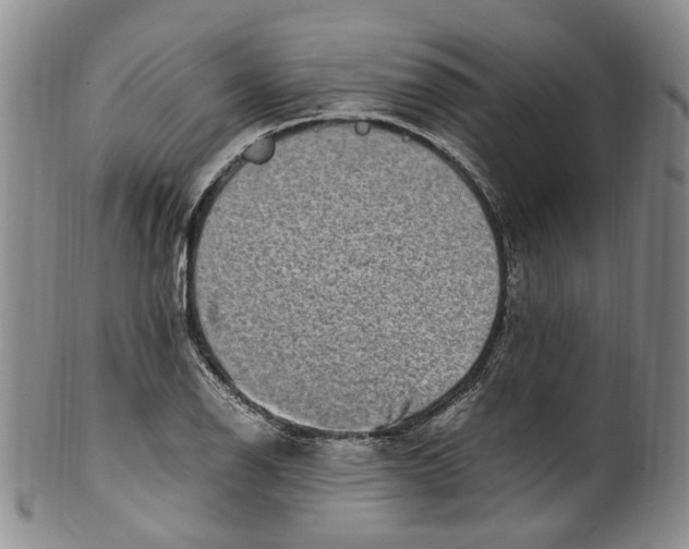 X0000100421126200806271501