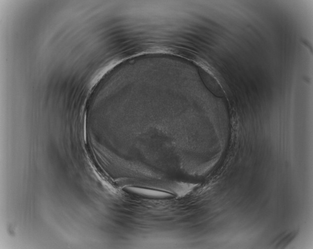 X0000100421127200806271501