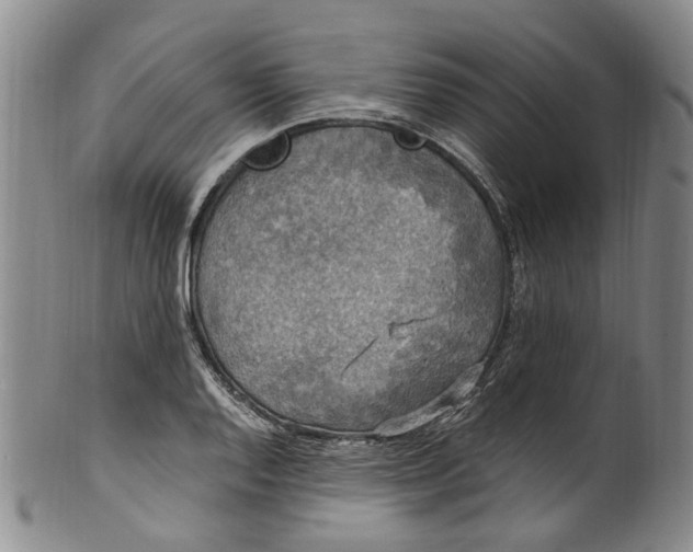 X0000100421128200806271501