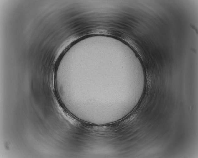 X0000100421131200806271501