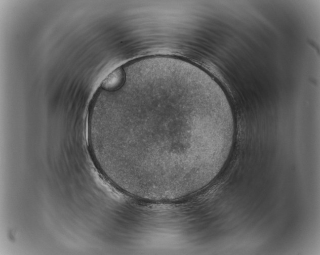 X0000100421132200806271501