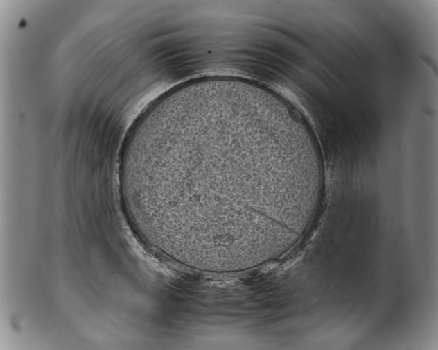 X0000100421133200806271501