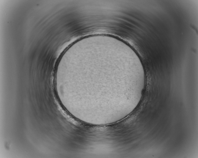X0000100421134200806271501