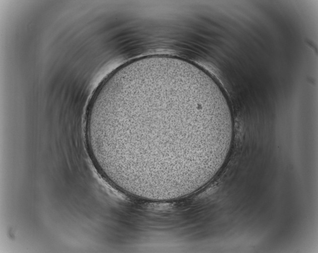 X0000100421135200806271501