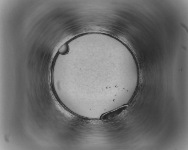 X0000100421136200806271501